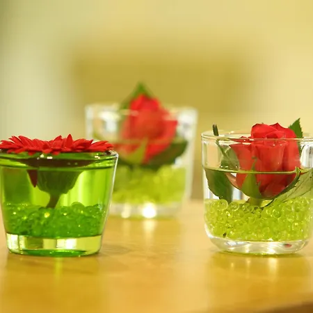 安特帕塔das斯塔德特酒店 3* 特里尔